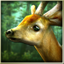 Forest HD Icon