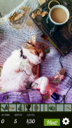 Hidden Object - Travelling Pets screenshot 0