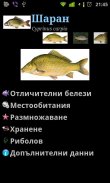 РибиБГ (FishBG) screenshot 2