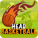 Head Basketball Arena Icon