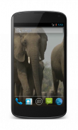 Elephant Free Video Wallpaper screenshot 0