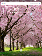 Spring Cherry Blossom Live Wallpaper FREE screenshot 11