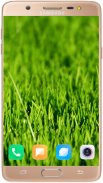 Grass Wallpaper Best HD screenshot 1