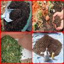 make a simple compost Icon