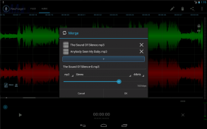 RecForge II Pro Audio Recorder screenshot 2