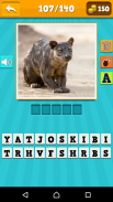 Animals Quiz screenshot 9