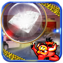 Hidden Objects Diamond Thief Icon