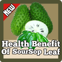 Health Benefit Of Soursop+Leaf