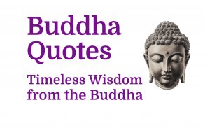 Buddha Quotes of Wisdom, Daily screenshot 4