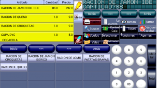 Virtua Pos, virtual POS TPV screenshot 3