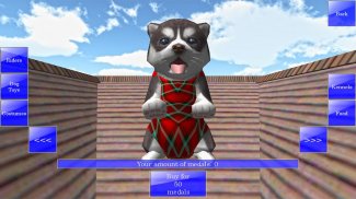 Cute Pocket Puppy 3D screenshot 5