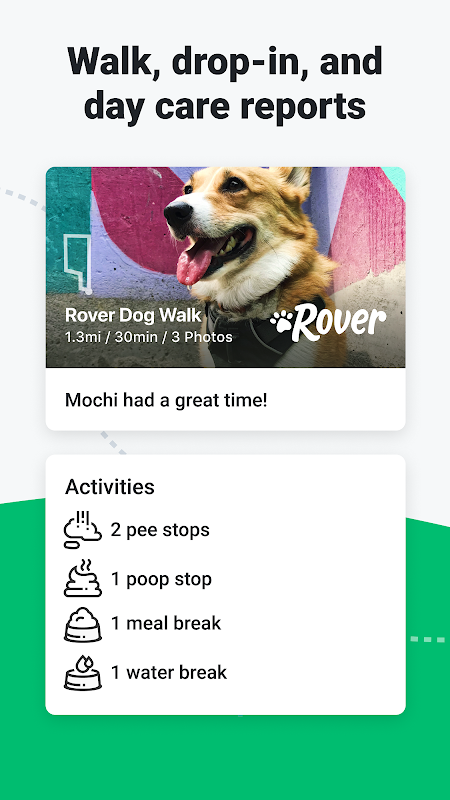 rover dog walking