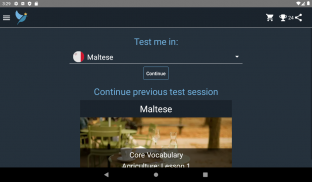 Maltese Language Tests screenshot 15