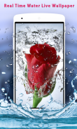 3D Rose Live Wallpaper screenshot 3