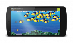 Wonder Fish Бесплатные Игры HD screenshot 2