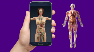 Human Anatomy Encyclopedia - Organs & Skeleton screenshot 2