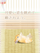 癒しのウサギ育成ゲーム screenshot 8