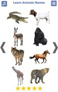 Learn Animals Name Animal Soun screenshot 10
