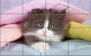 Tile Puzzles - Cats screenshot 4