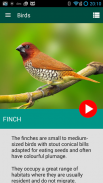 Birds Atlas screenshot 0