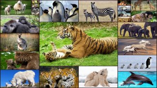 Puzzle Game with Baby Animals screenshot 6