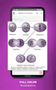 Current Diag & Treat. Ob & Gyn screenshot 12