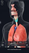 Respiratory System Anatomy Pro. screenshot 8