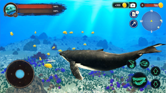 The Humpback Whales screenshot 12