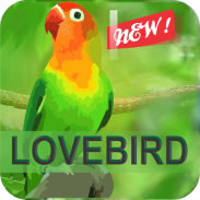 Kicau Master Lovebird Juara screenshot 8