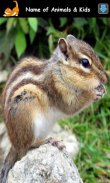 Animal Sounds for Kids Lite screenshot 15