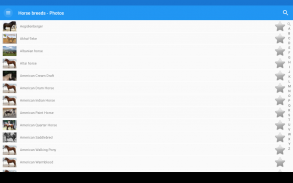 Horse breeds - Photos screenshot 8