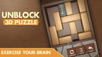 Unblock 3D Puzzle screenshot 7