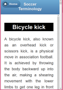 A Glossary of Football Terms screenshot 13