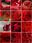 Rose Wallpapers screenshot 2