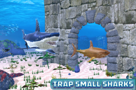 Big Shark Vs Small Sharks screenshot 20