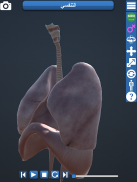 Anatomy 3D screenshot 3