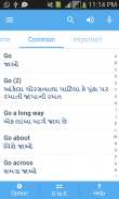 Gujarati Dictionary Multifunct screenshot 3