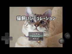 猫飼いシミュレーション screenshot 6