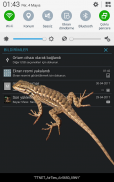Lizard in phone funny joke screenshot 6