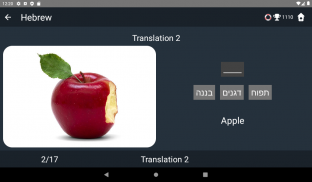 Hebrew Language Tests screenshot 6