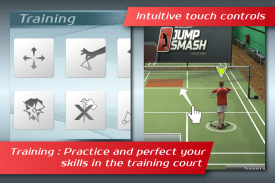 Li-Ning Jump Smash 2013™ screenshot 6