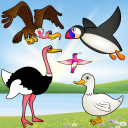 Aves juego para niños pequeños Icon
