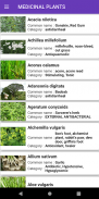 Plantas medicinais: ervas screenshot 2