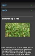 How to Grow Green Beans Good screenshot 0
