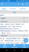 Kannada Dictionary Multifuncti screenshot 3