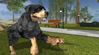 Rottweiler Dog Life Simulator screenshot 4