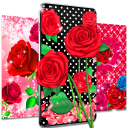 Pink red roses live wallpaper Icon
