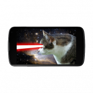 Cat Laser screenshot 0