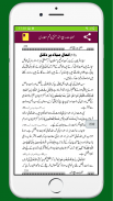 Khutbat Rabi un Noorربیع النور screenshot 4