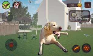 Labrador Simulator screenshot 7